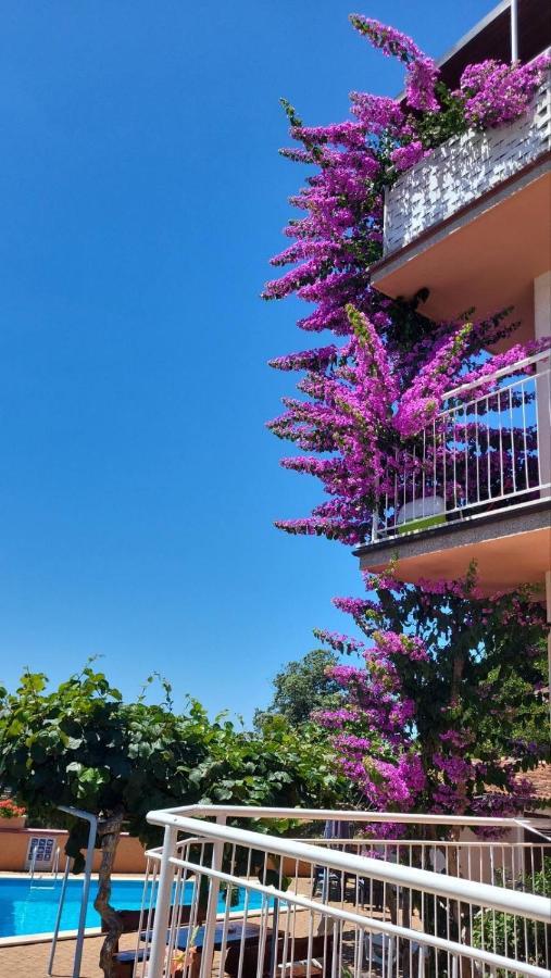 Stella Apartments Винкуран Экстерьер фото